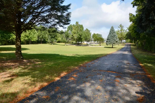 a view of garden with trees