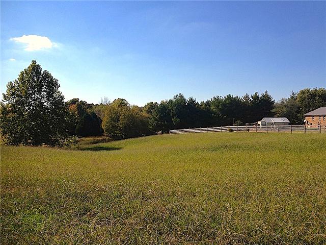 4075 Hoods Branch Road Springfield, TN 37172 - Photo 14 of 16 Part of the 3.69 acres.