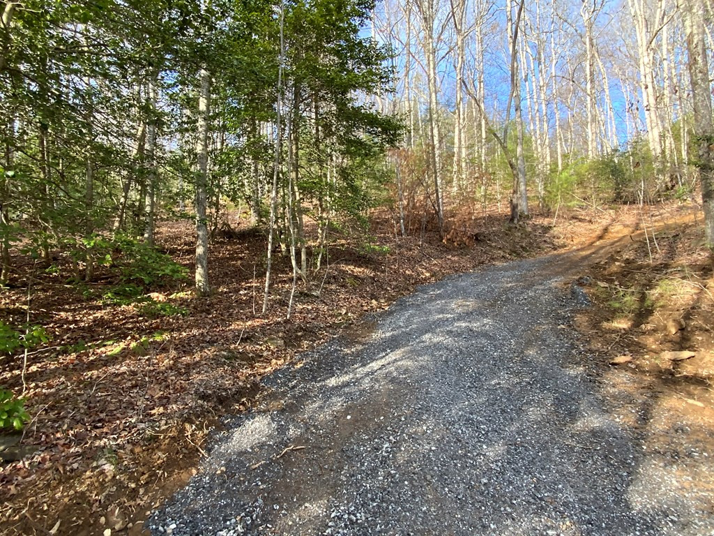 Lot 16 Ivy Log Road Warne, NC 28909 - Photo 7 of 16
