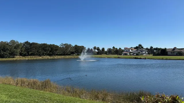 a view of lake with boats and trees in the background