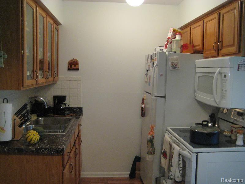 419 Prospect Street, Unit 102 Romeo, MI 48065 - Photo 6 of 12 Kitchen