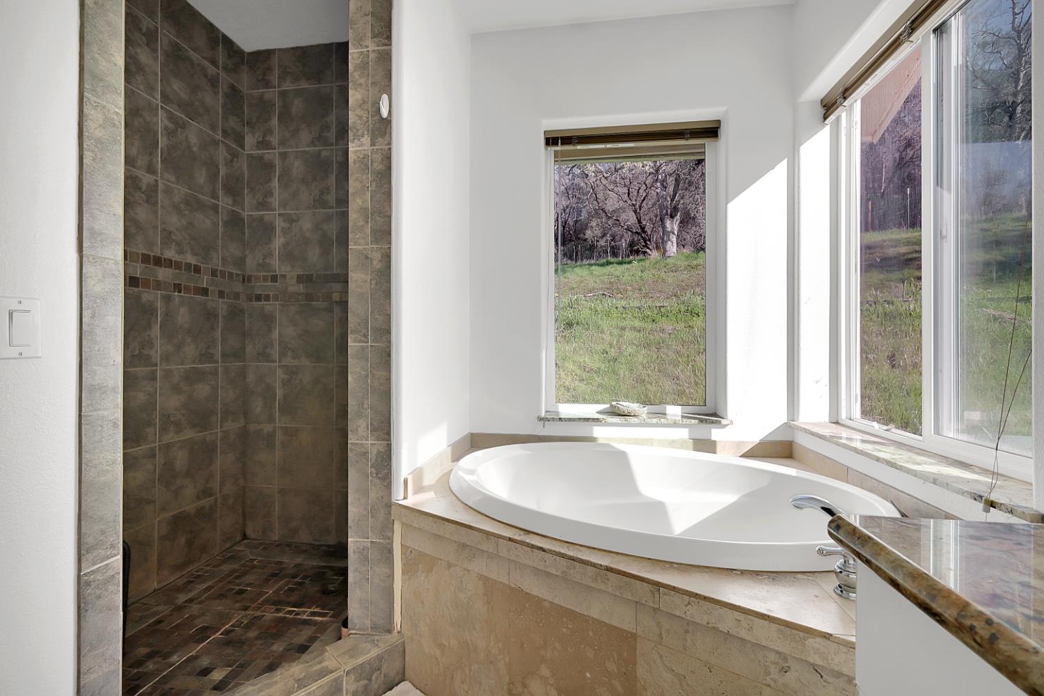 20516 Pleasant Valley Road North San Juan, CA 95960 - Photo 29 of 62