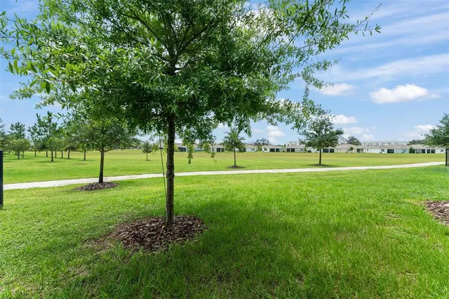 a view of a park with large trees