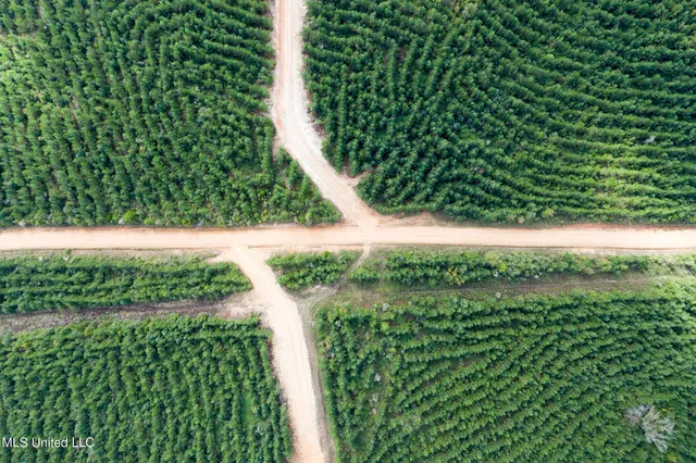 $18,500 | 10 Attala Road, McCool, MS 39108