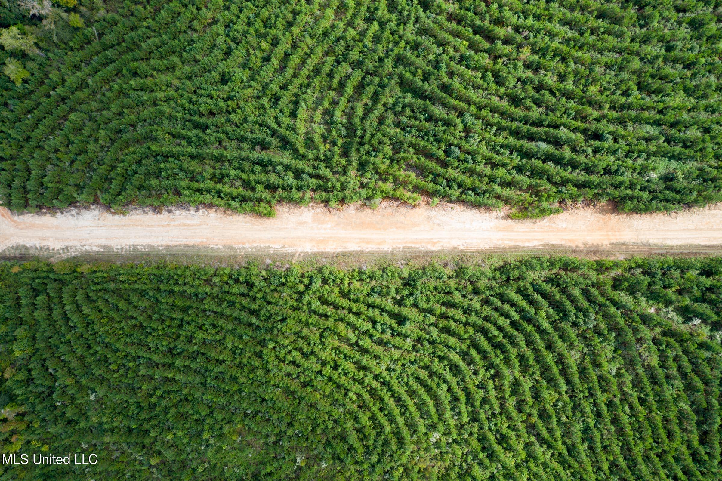 10 Attala Road McCool, MS 39108 - Photo 2 of 7 brentwood-04