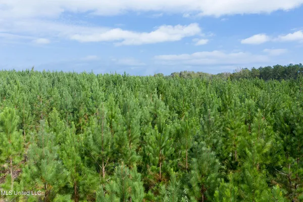 $17,900 | 10 Attala Road, McCool, MS 39108