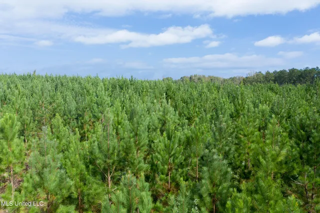 $18,500 | 10 Attala Road, McCool, MS 39108