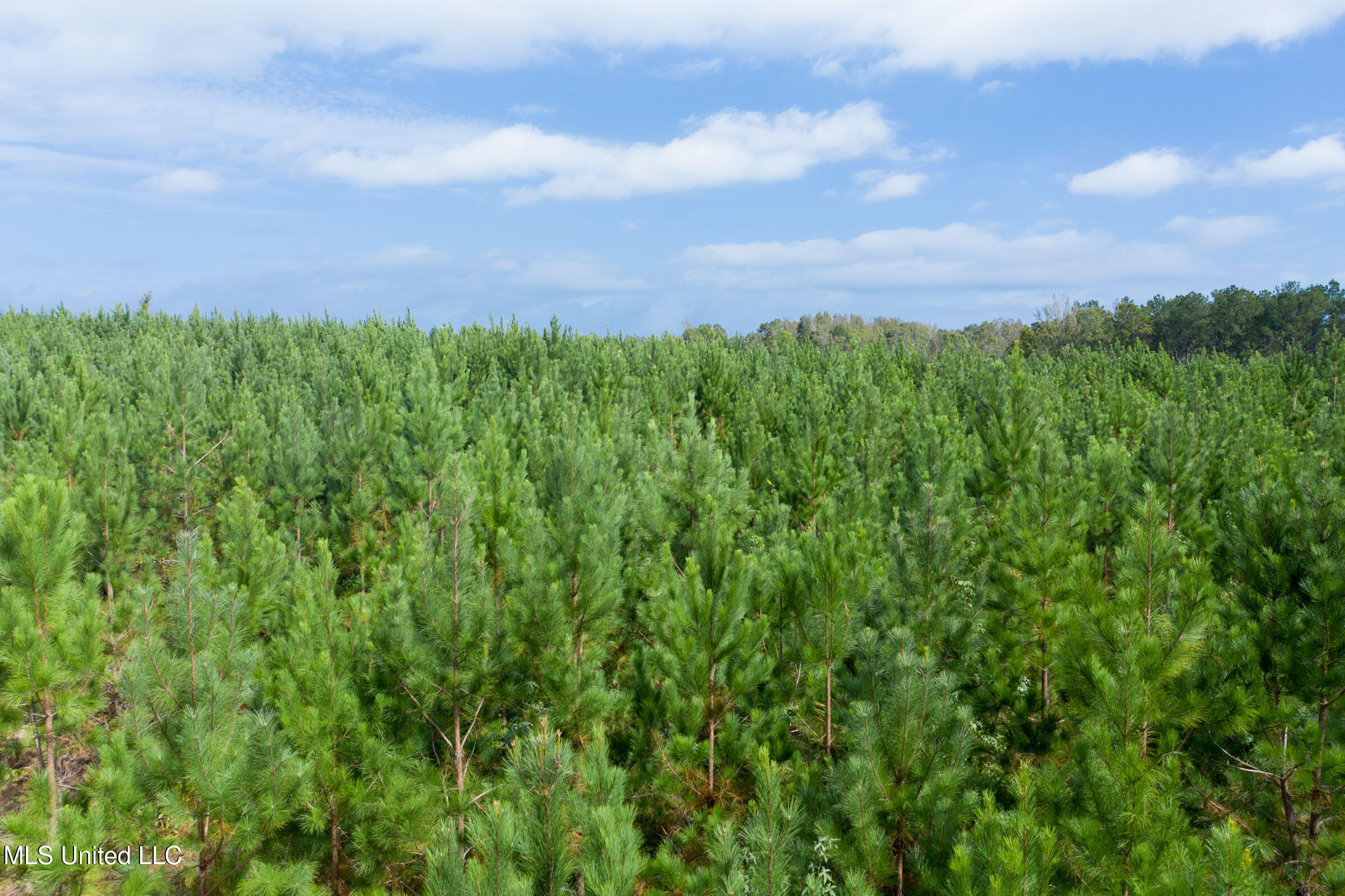 10 Attala Road McCool, MS 39108 - Photo 3 of 7 brentwood-05