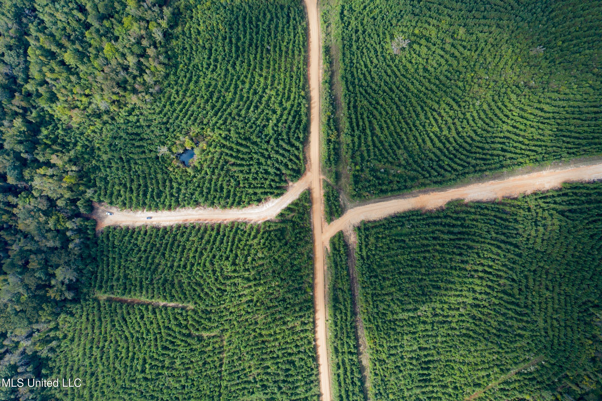 10 Attala Road McCool, MS 39108 - Photo 4 of 7 brentwood-06