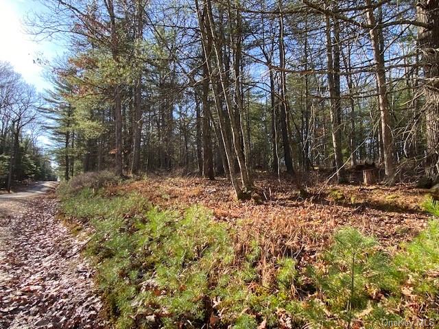 Lot 56 Ozeriany Road Glen Spey, NY 12737 - Photo 1 of 8