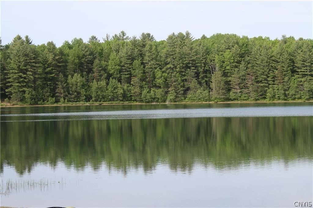 8020 Sand Pond Road Greig, NY 13343 - Photo 3 of 33
