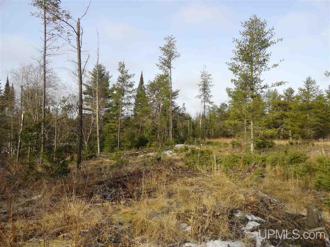116-acres 116-acres Co Road Negaunee, MI 49866 - Photo 19 of 37