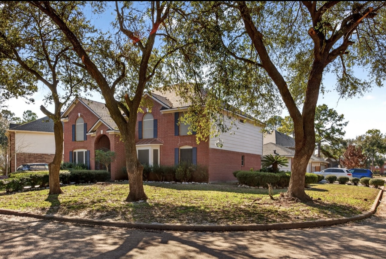 a tree in front of a brick house with large trees