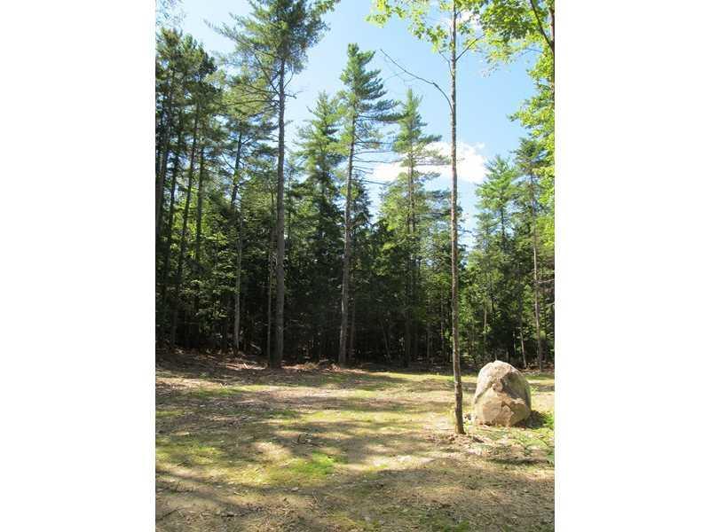 562 Bog Road Hermon, ME 04401 - Photo 23 of 25 Yard/Garden.