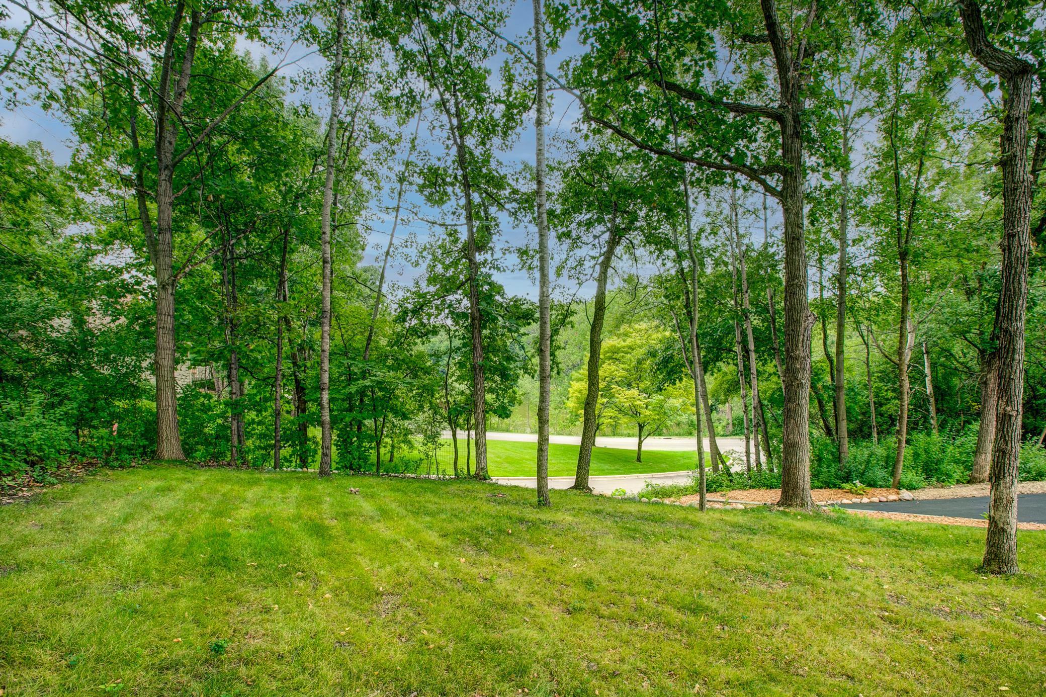 15120 Stone Ridge Trace Minnetonka, MN 55391 - Photo 59 of 69