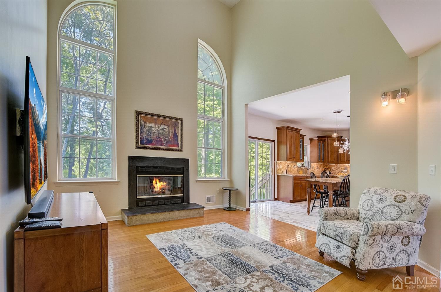 13 Revere Road Monmouth Junction, NJ 08852 - Photo 7 of 39 a living room with furniture window and a fireplace