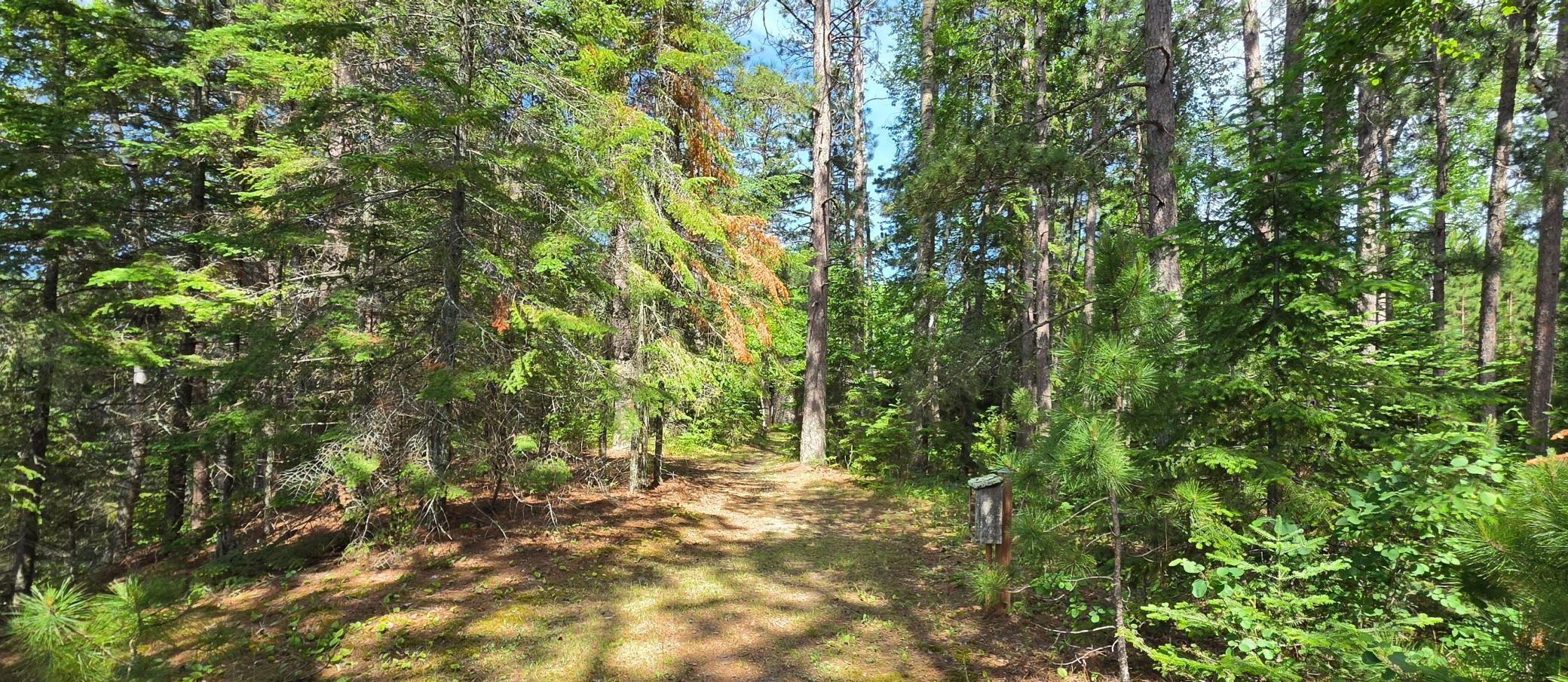 51946 North Wasson Lake Road Bigfork, MN 56628 - Photo 41 of 52