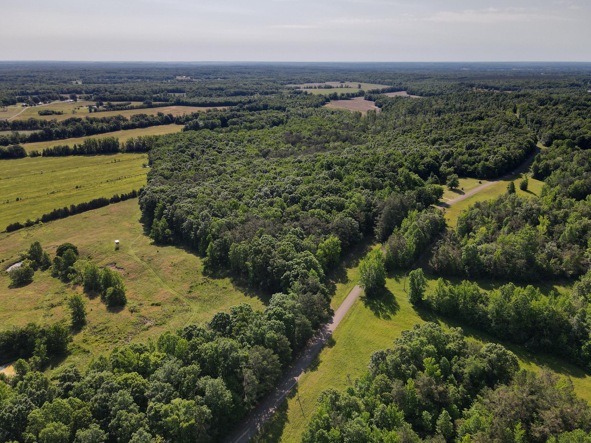1 Carter Road Saltillo, TN 38370 - Photo 34 of 40 an aerial view of residential houses with outdoor space and trees