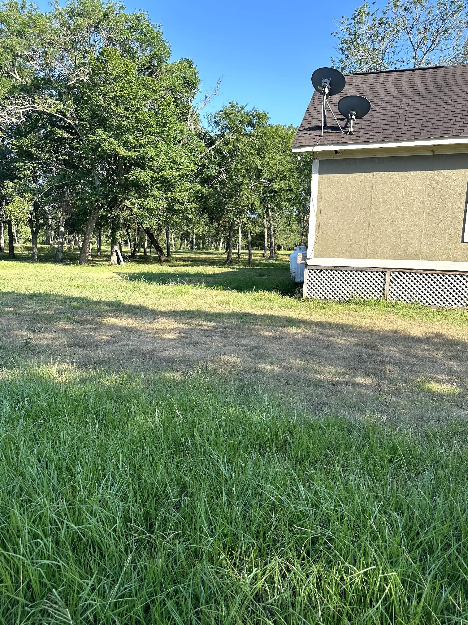 7207 County Road 194 Rosharon, TX 77583 - Photo 8 of 19