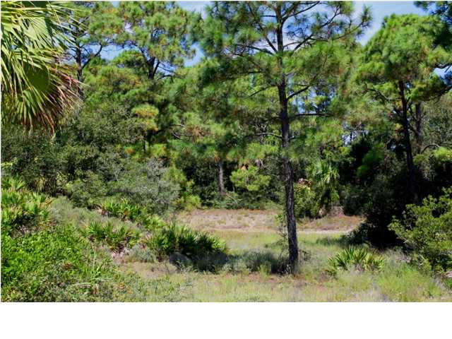 6 Painted Pony Road Port St. Joe, FL 32456 - Photo 1 of 1