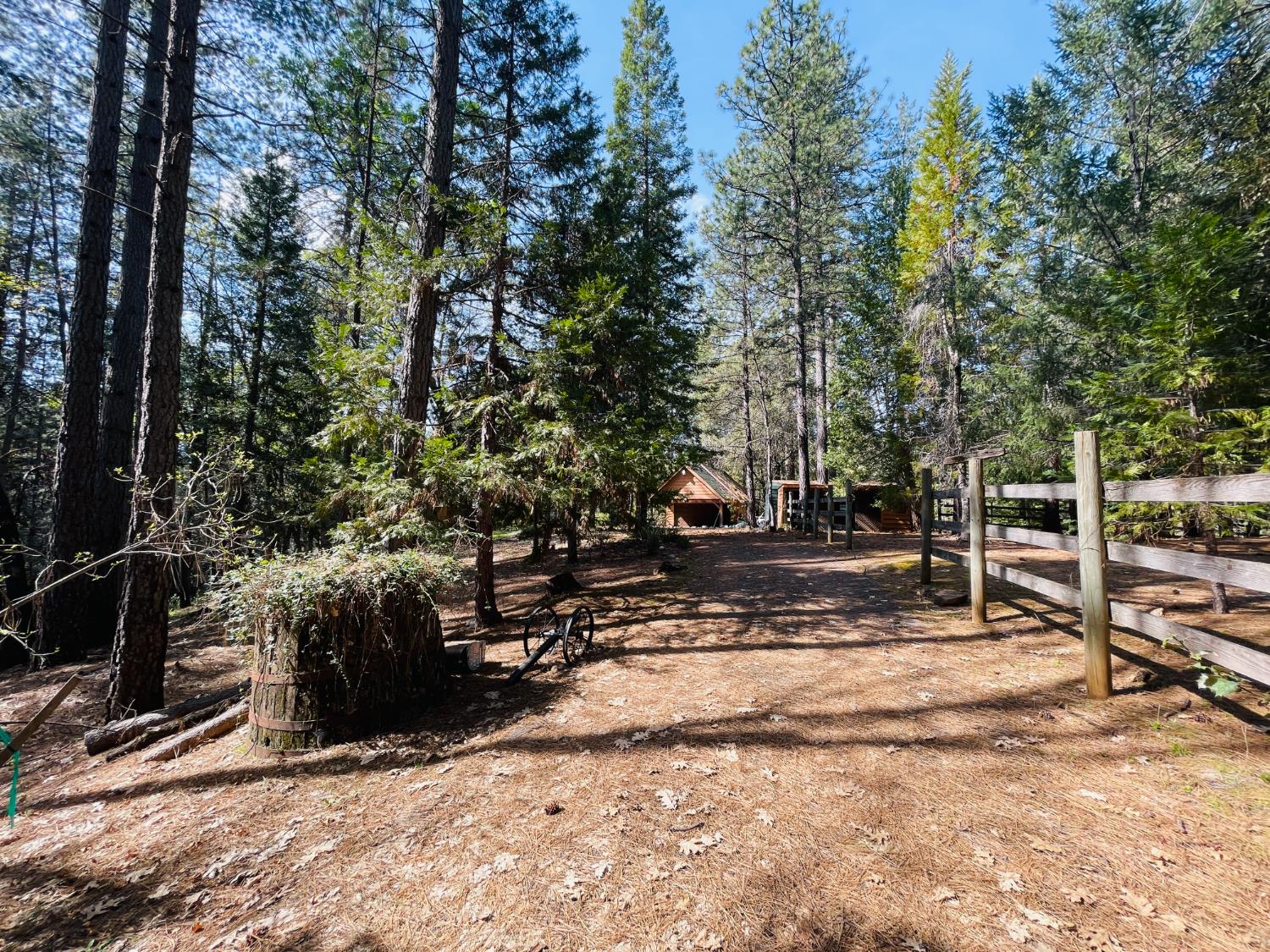 6950 Fools Canyon Road Georgetown, CA 95634 - Photo 2 of 51