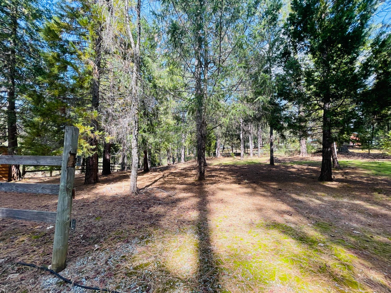 6950 Fools Canyon Road Georgetown, CA 95634 - Photo 3 of 51