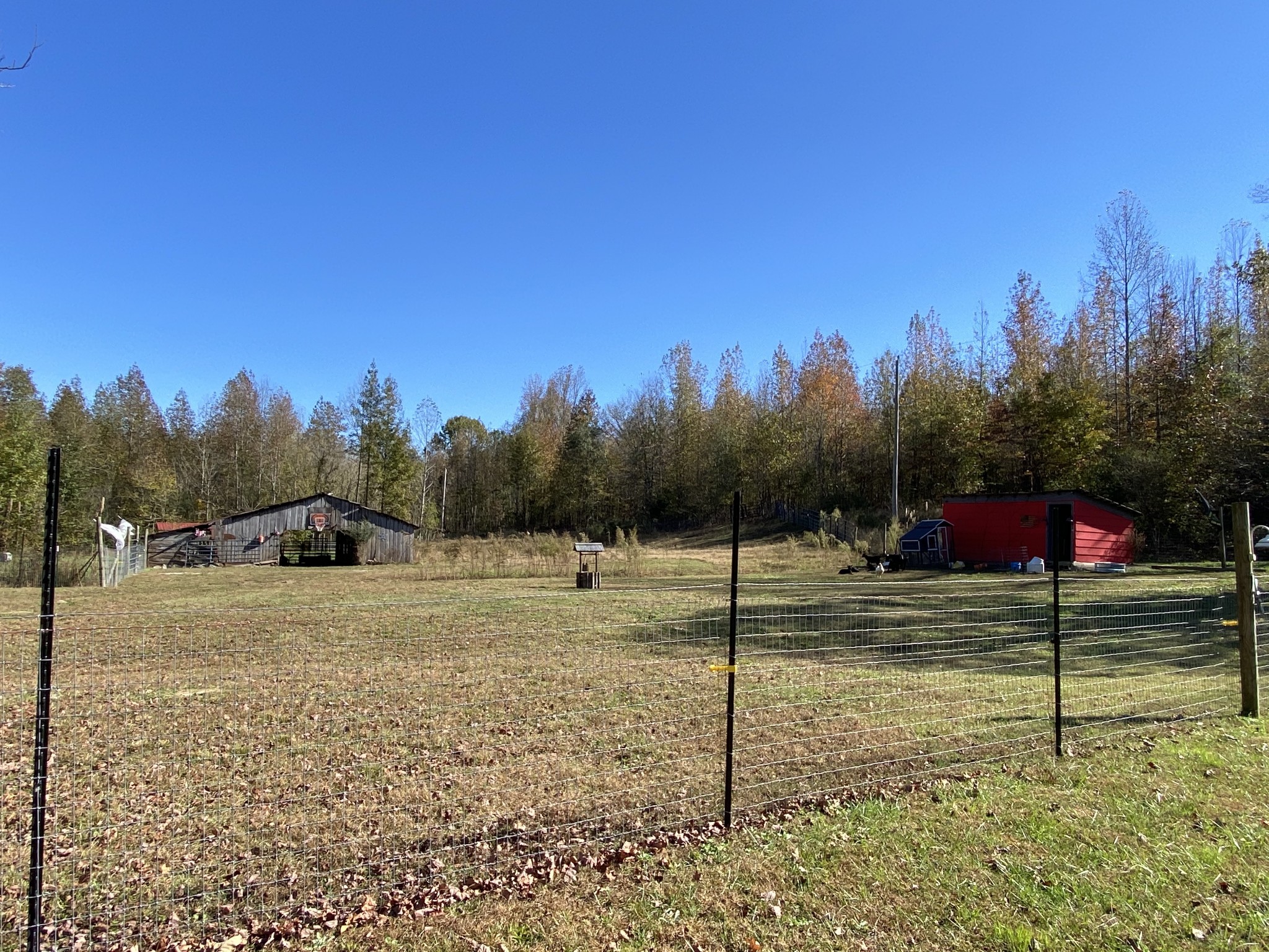 141 New Hope Road Five Points, TN 38457 - Photo 37 of 40