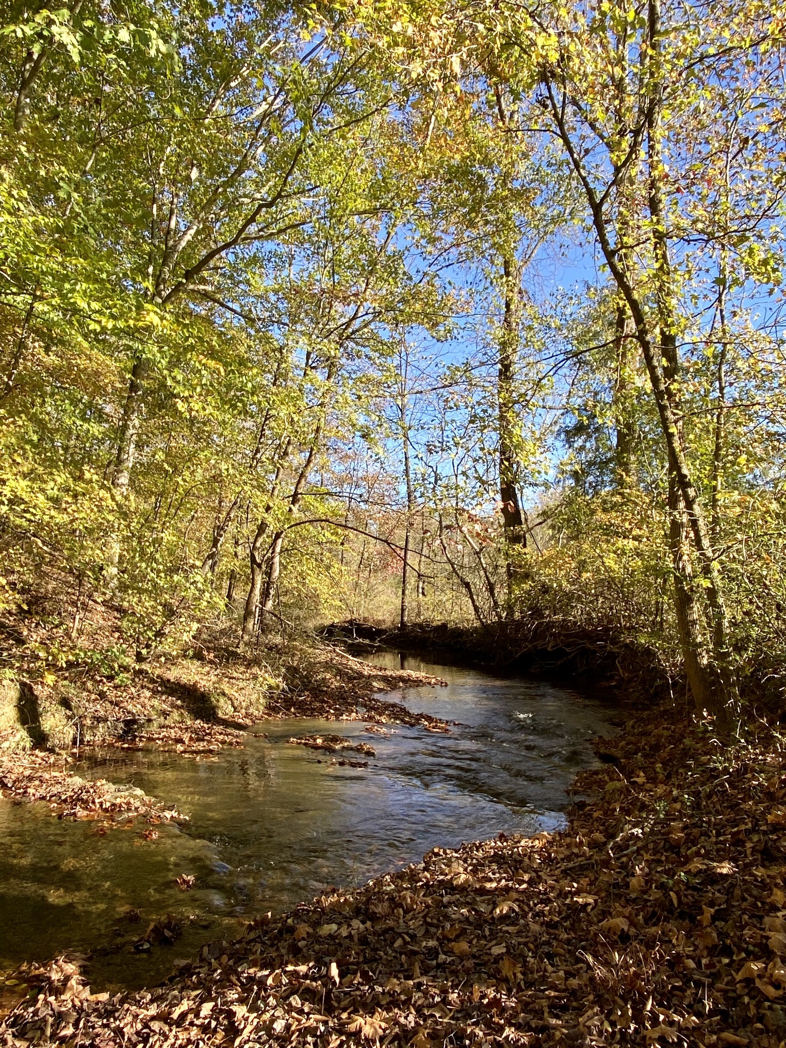 141 New Hope Road Five Points, TN 38457 - Photo 39 of 40