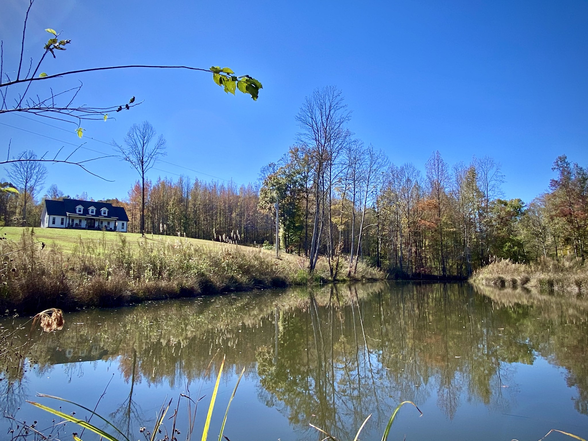 141 New Hope Road Five Points, TN 38457 - Photo 6 of 40