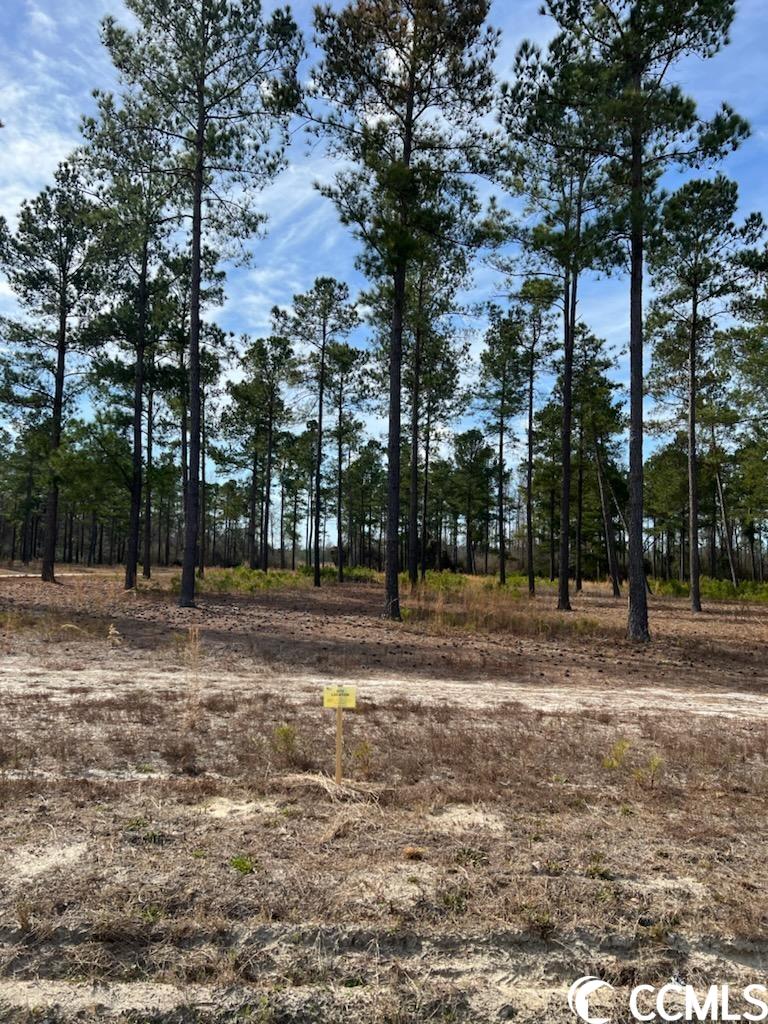9996 Highway 19 Loris, SC 29569 - Photo 27 of 40 Gallery Image 27