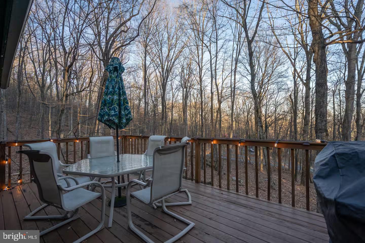 170 Whipporwill Way Berkeley Springs, WV 25411 - Photo 20 of 32 a view of a chairs and table on the wooden floor