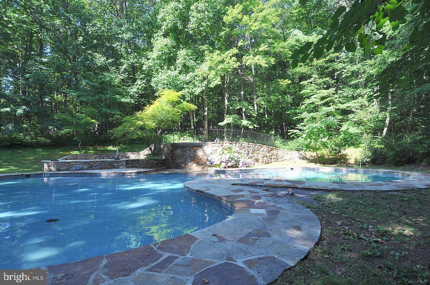 170 Whipporwill Way Berkeley Springs, WV 25411 - Photo 28 of 32 a view of a yard with plants and trees