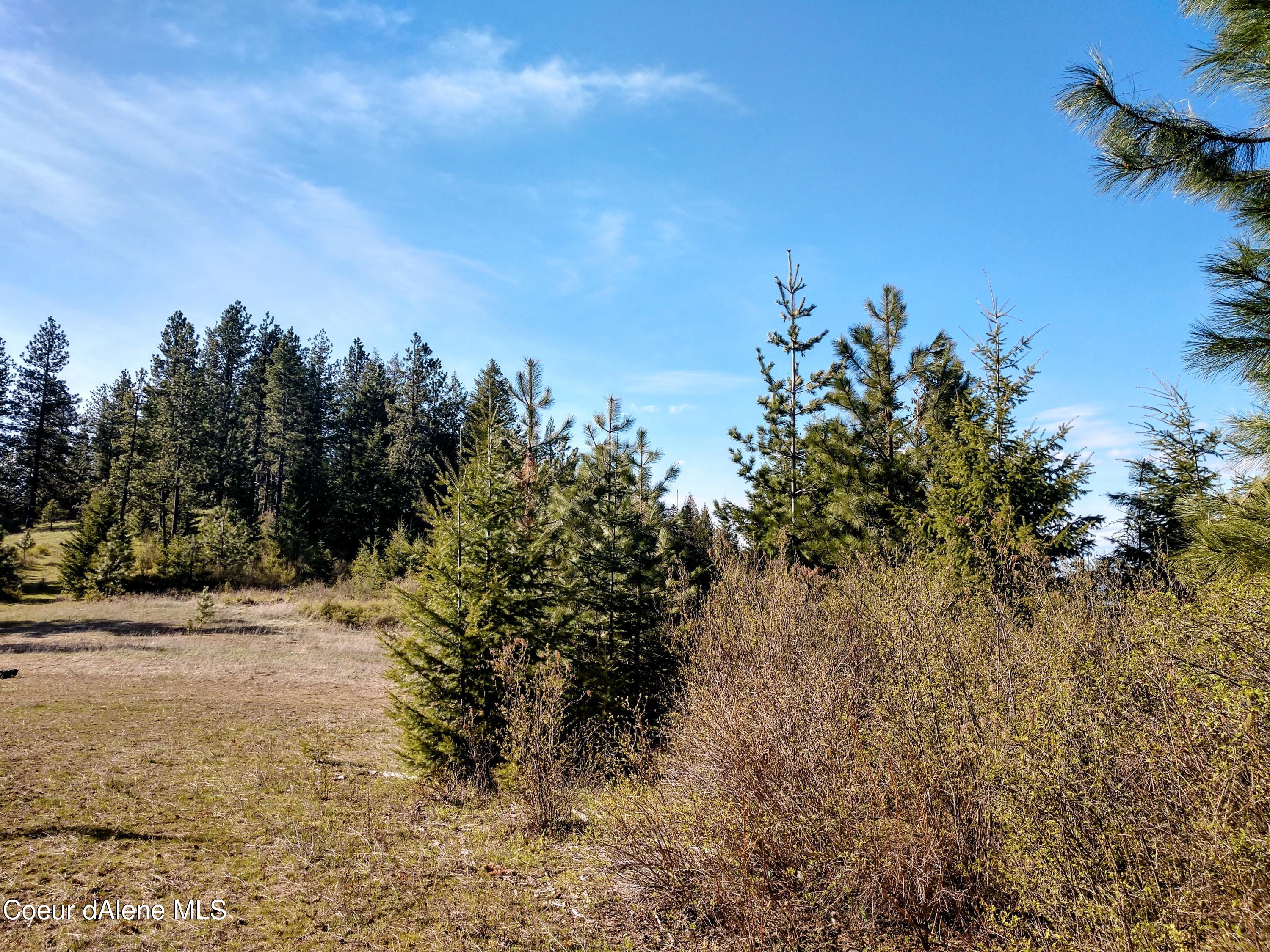 Nna East Alamo Road Harrison, ID 83833 - Photo 24 of 44 Land
