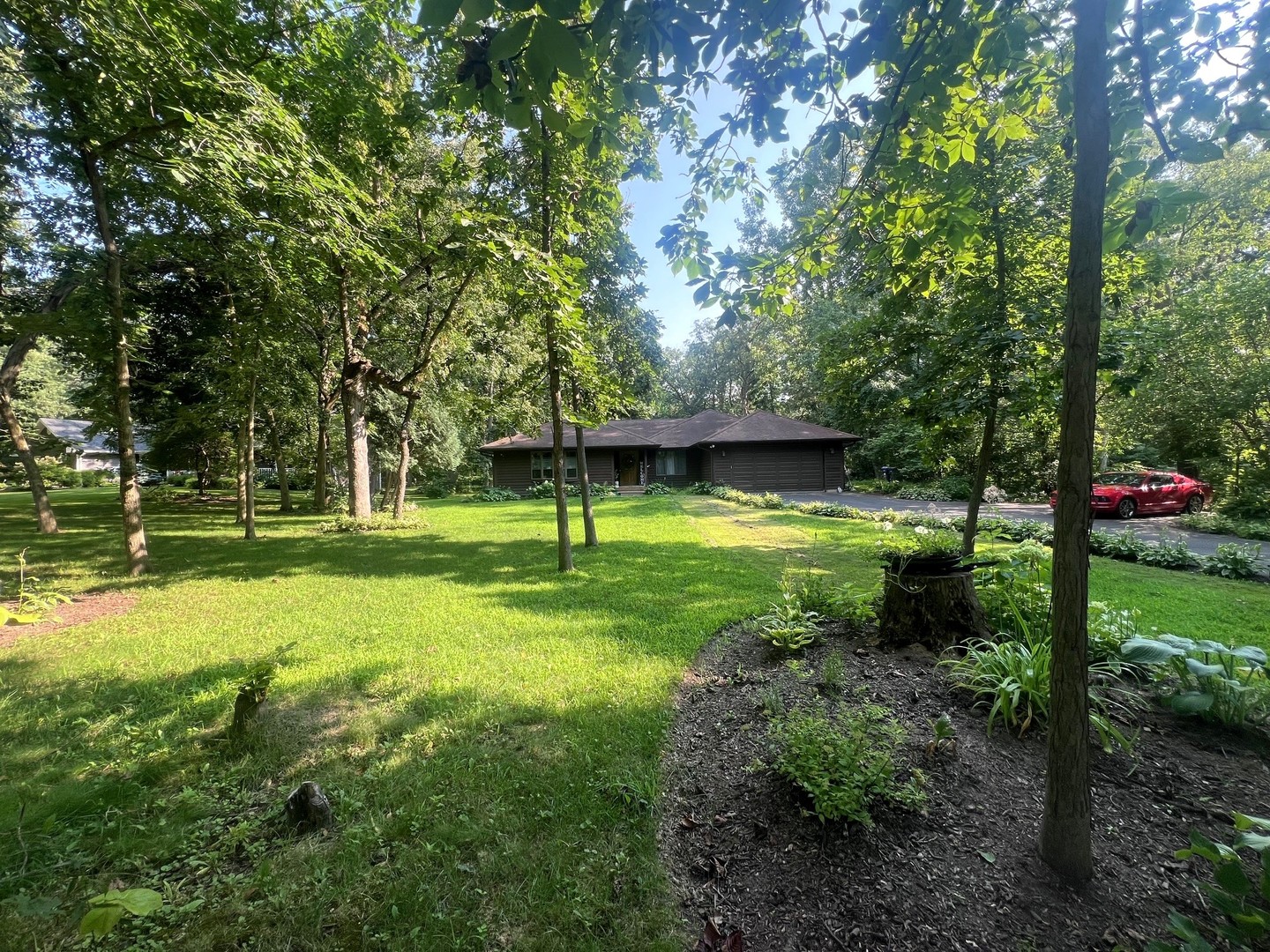 a view of a park with large trees