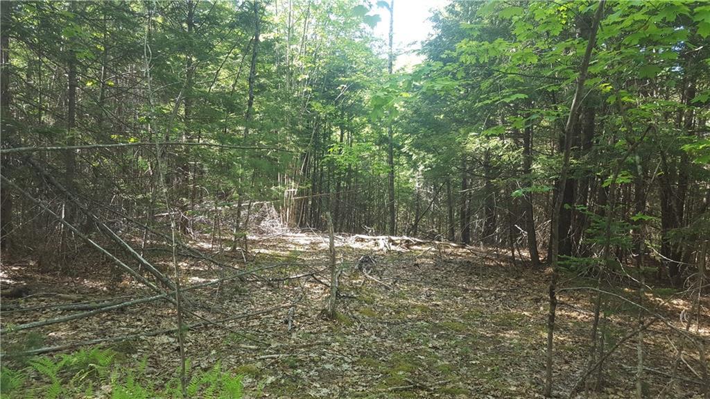 0 Fisher Road Bowdoinham, ME 04008 - Photo 2 of 21 Photo