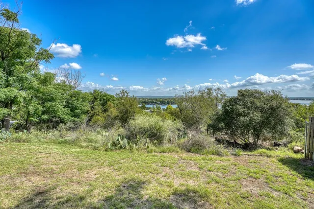 a view of a yard with a tree