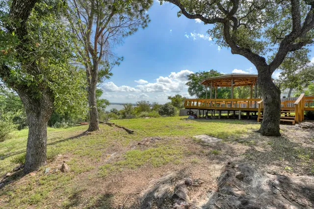 a view of a yard with a tree