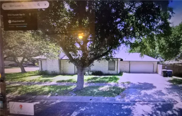 a small garden covered with tall trees
