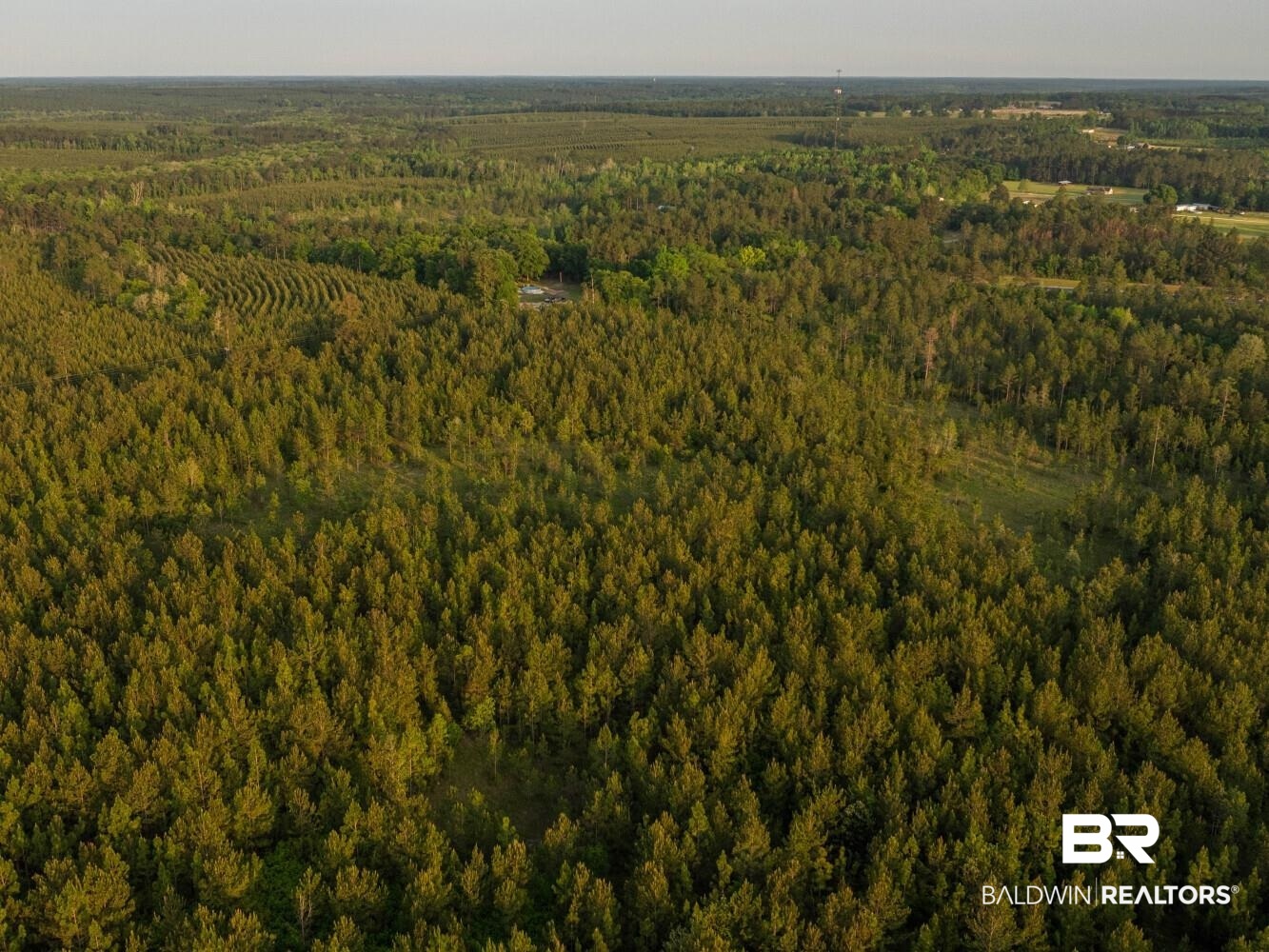 0 Lonnie Hadley Road Perdido, AL 36562 - Photo 13 of 39