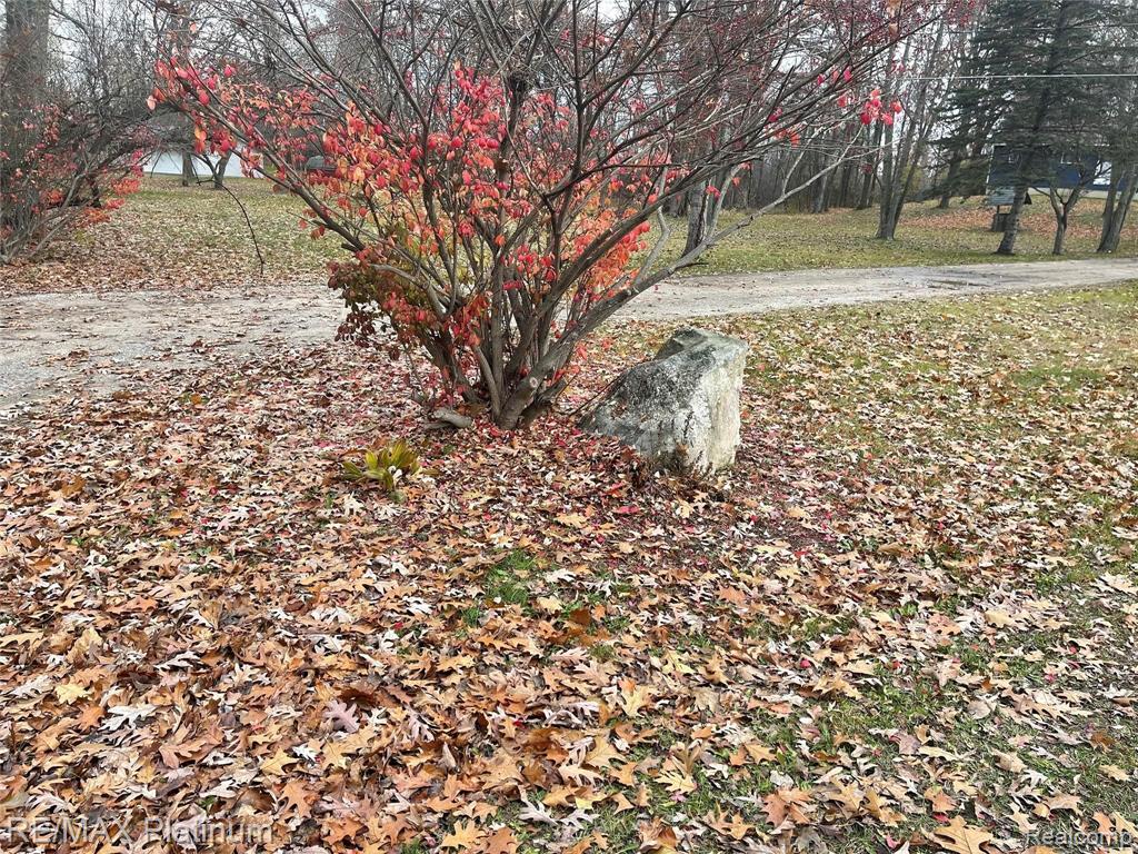0 Seymour Road Gaines, MI 48436 - Photo 3 of 5
