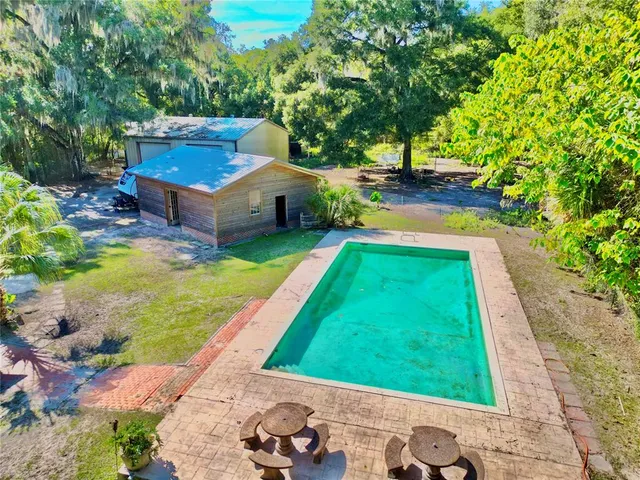 a view of a field with a plant