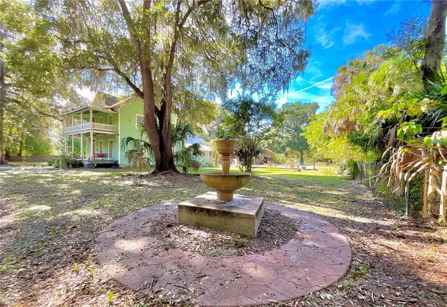 a view of a yard with palm trees