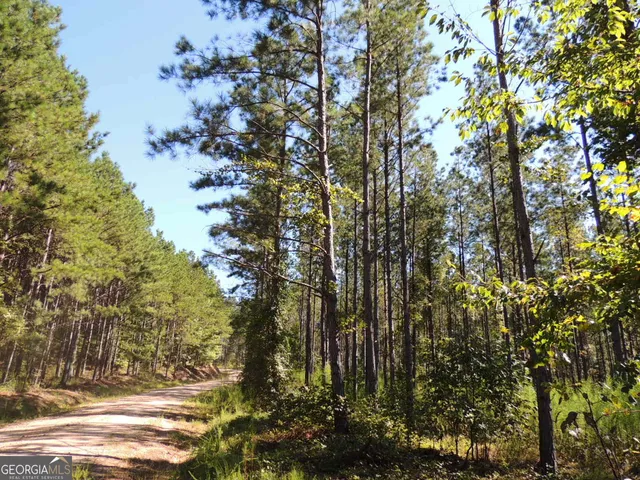 a view of outdoor space with lots of trees