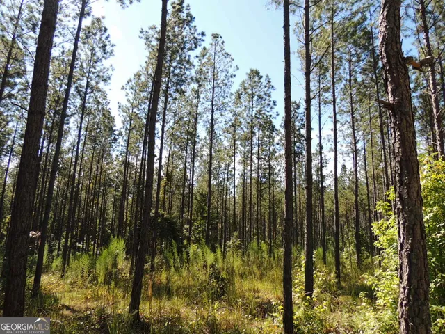 $127,840 | Tr 4-15.976 Ac Pike Road, Franklin, GA 30217