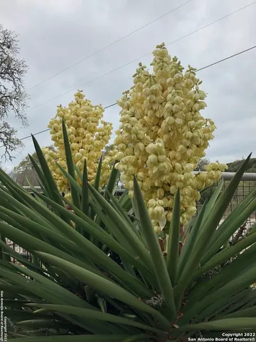 $719,000 | 208 Scenic Mountain Drive, Lakehills, TX 78063