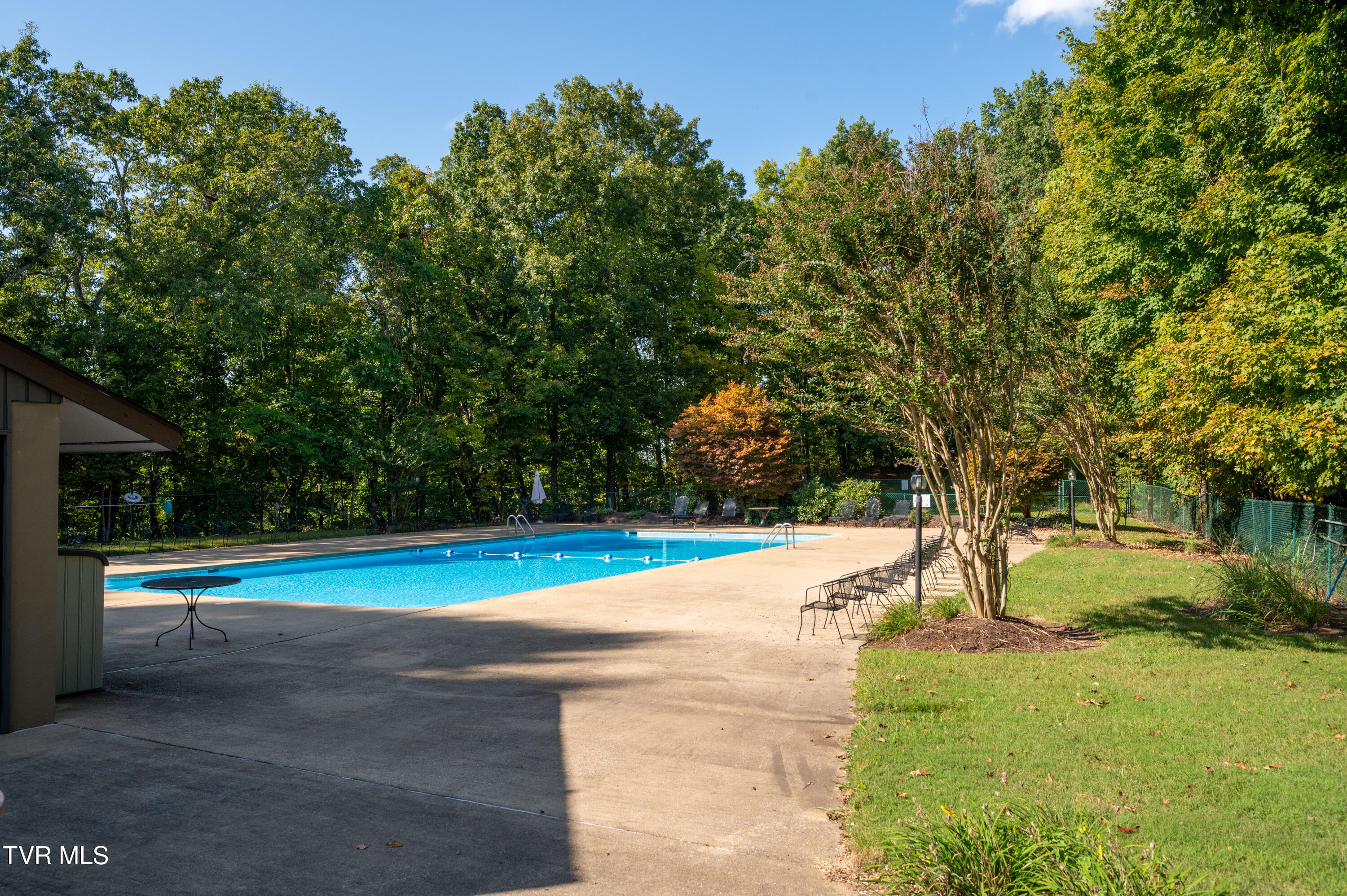 331 Hickory Bluff, Unit 331 Johnson City, TN 37601 - Photo 46 of 49 Woodstone Pool 2