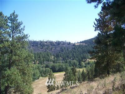 -tbd Hidden Valley Road, Unit 1D Cle Elum, WA 98922 - Photo 1 of 1 Gallery Image 1
