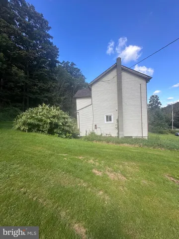 a view of a backyard with plants and large trees
