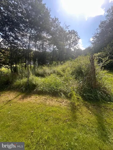 a view of a lake with a yard