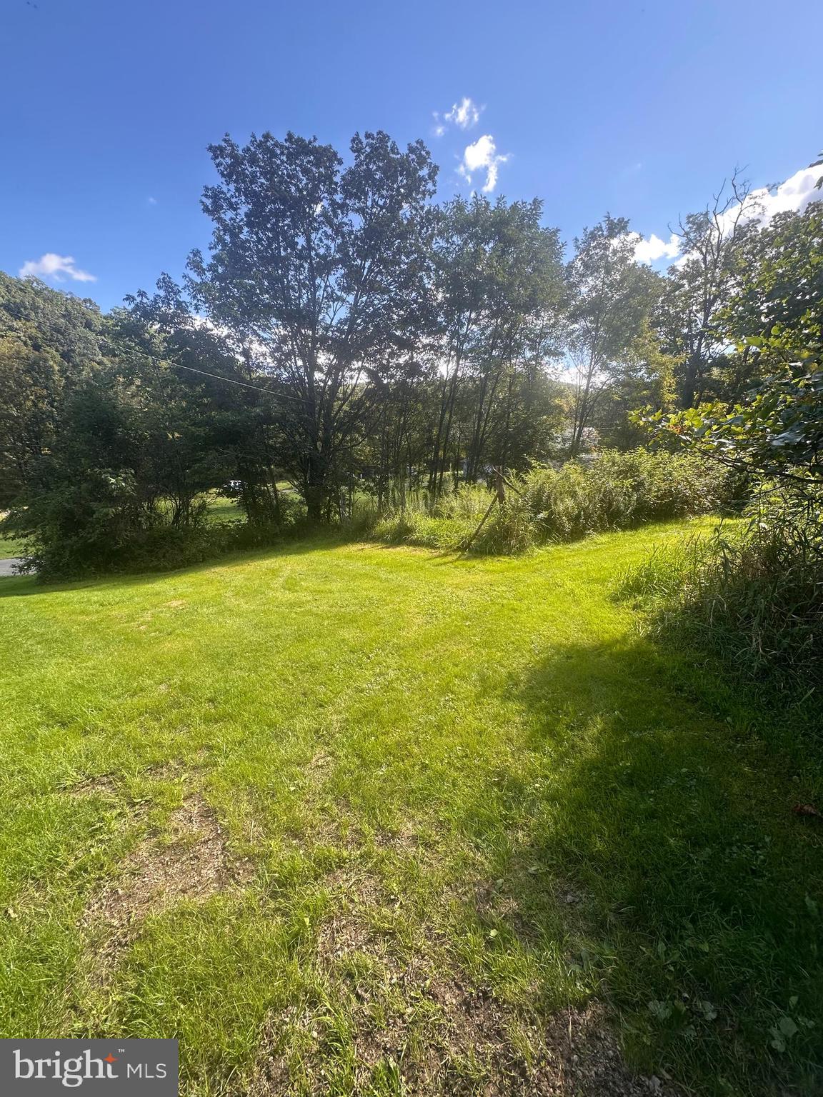 20628 Water Station Run Road Lonaconing, MD 21539 - Photo 10 of 11 a view of a lake with a yard
